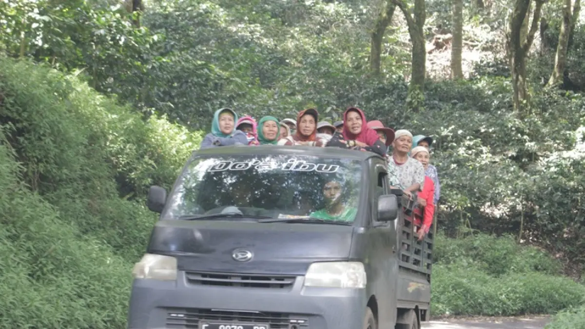 BERBAHAYA: Sejumlah buruh tani di Bondowoso mengendarai bak terbuka melintas di jalur Ijen beberapa waktu lalu. (ILHAM/RJ)