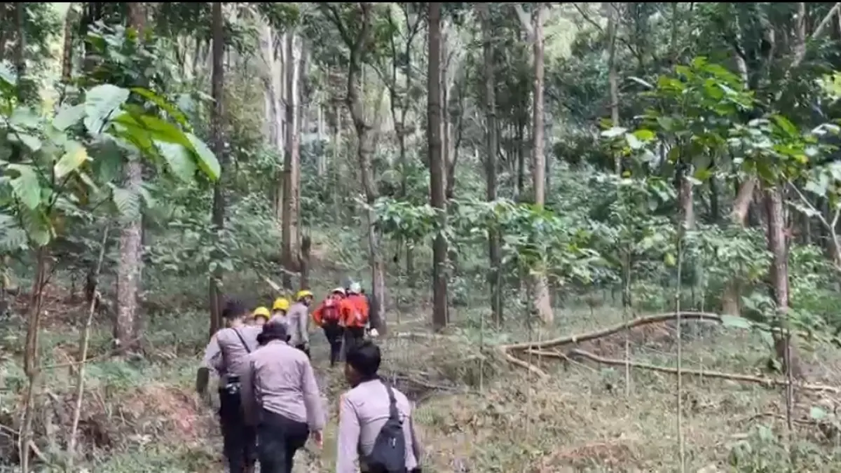tim gabungan saat proses pencarian korban hilang di gunung Piramid