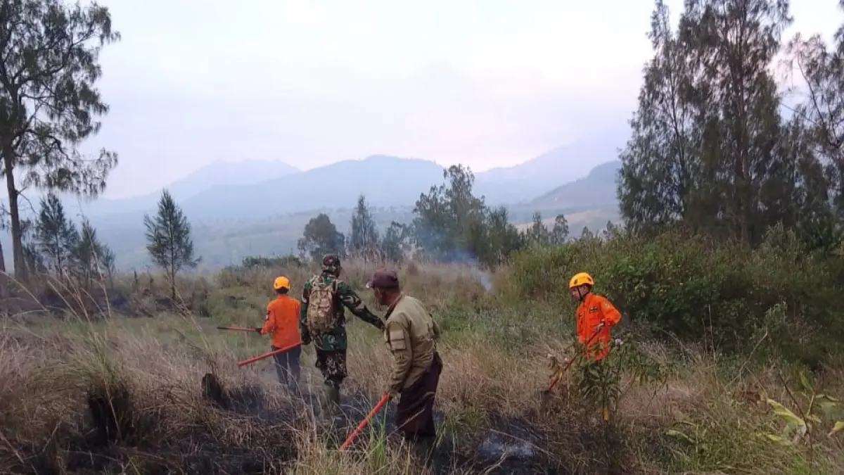 BERUPAYA MEMADAMKAN: Petugas Damkar Bondowoso saat berupaya memadamkan api di kawasan Arak-arak. (FAQIH HUMAINI/RADAR IJEN)