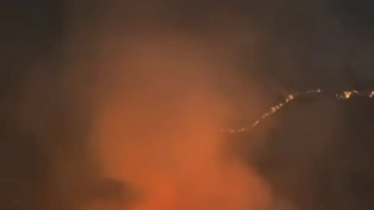 Tangkap layar kebakaran di Bromo