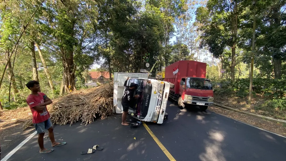 GANGGU PENGGUNA JALAN: Truk tebu terguling di Jalur Gumitir, kemarin Selasa (18/8). (JUMAI/RADAR JEMBER)