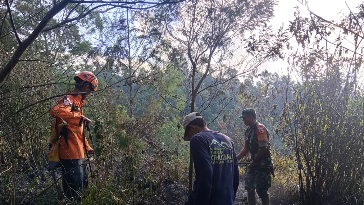 PADAMKAN: Sejumlah petugas saat melakukan pemadaman kebakaran di Bukit Sentong, Desa Ranupani, kemarin. (ATIEQSON MAR IQBAL/RAME)