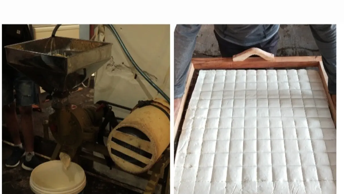 Hasil Pendampingan Lean Manufacturing Selama Tiga Bulan, Produktivitas Pabrik Tahu Diharapkan Makin Meningkat