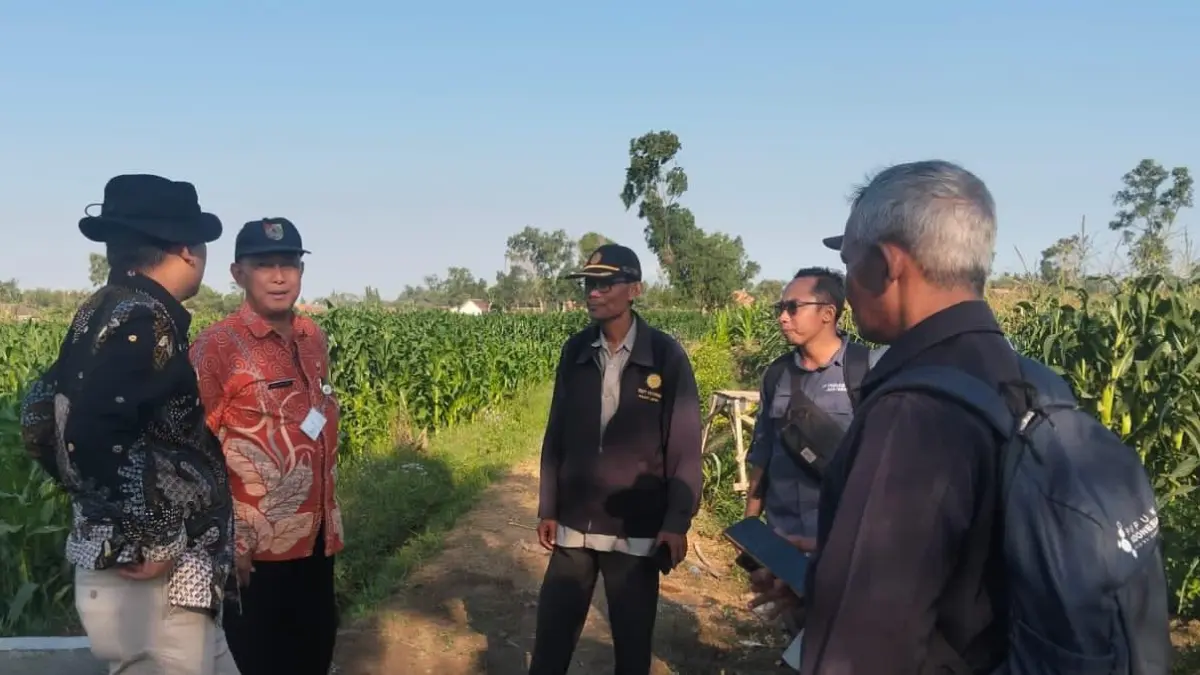 DISURVEI: Tim dari DTPHP saat meninjau lahan di Desa Kepanjen, Gumukmas, belum lama ini. (DOK. DISKOMINFO)