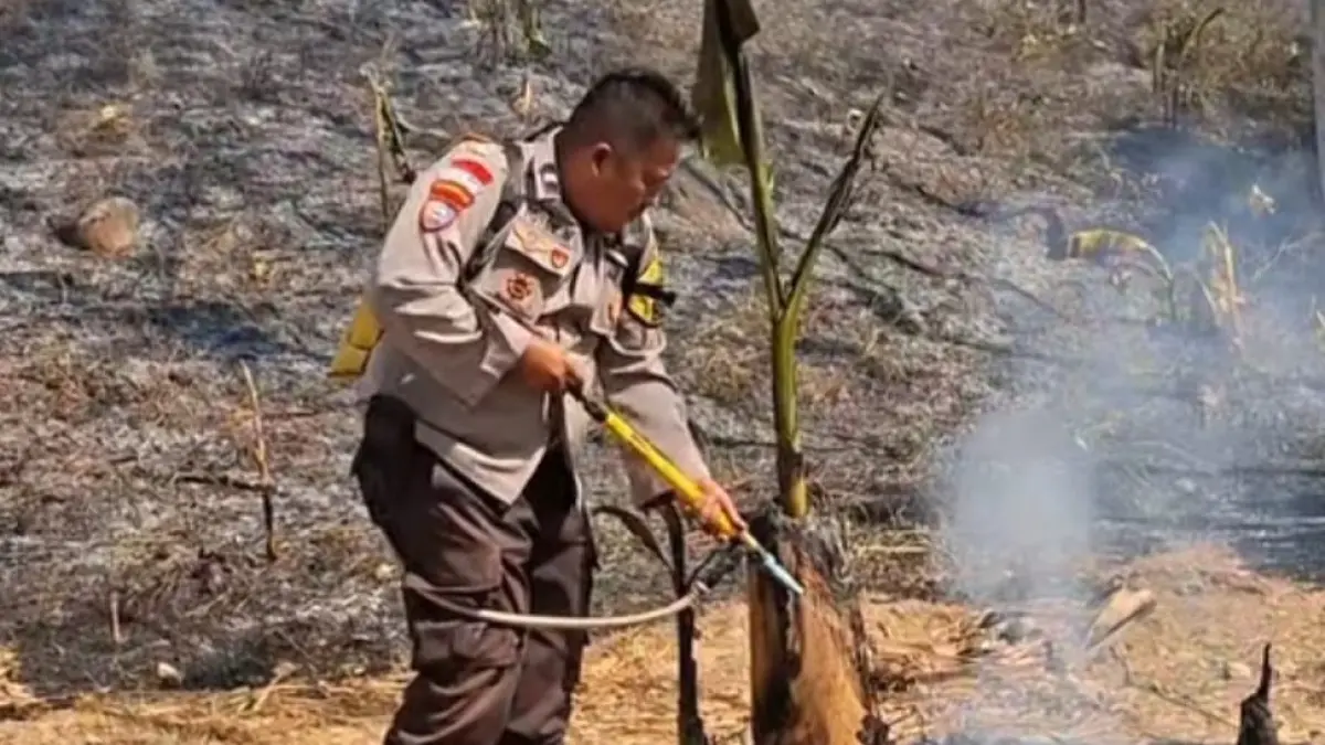 Kanit Binmas Polsek Tempurejo Aipda Totok pikul jet shooter padamkan sisa api karhutla di lereng TMNB Sanenrejo. (JUMAI/RADAR JEMBER)