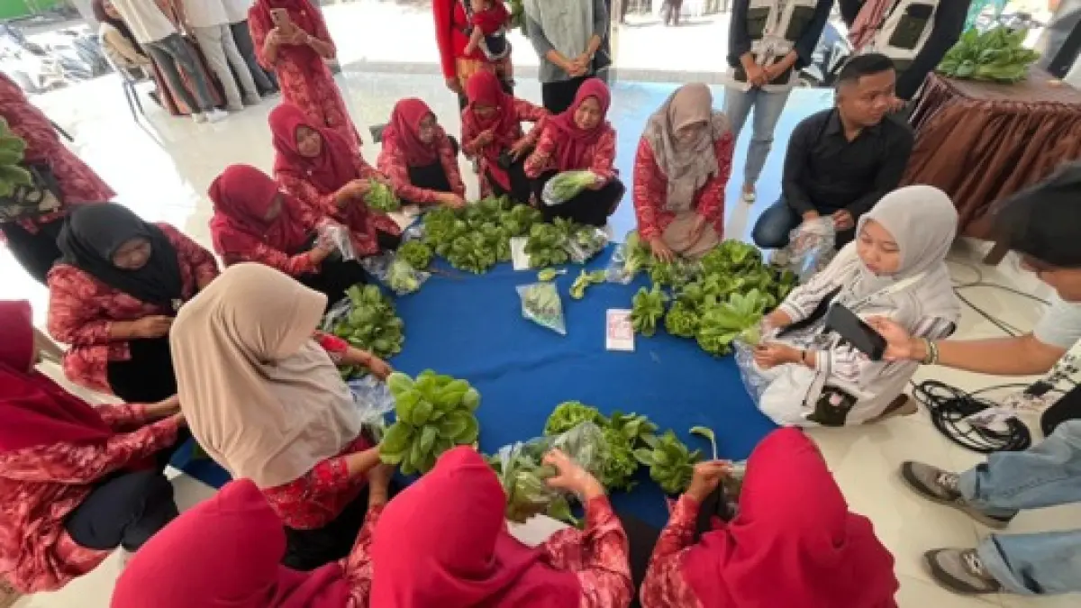 Sosialisasi Pelatihan Pengemasan Kepada Ibu-Ibu PKK dan KWT Sabrang 