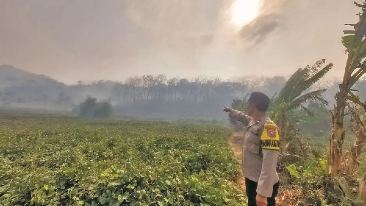 DATANGI TKP: Anggota Polsek Tempurejo mendatangi lokasi kebakaran hutan di kawasan Taman Nasional Meru Betiri (TNMB), Dusun Krajan, Desa Curahnongko, Kecamatan Tempurejo, Kamis (10/9). Api sempat mendekati permukiman warga. (POLSEK TEMPUREJO)
