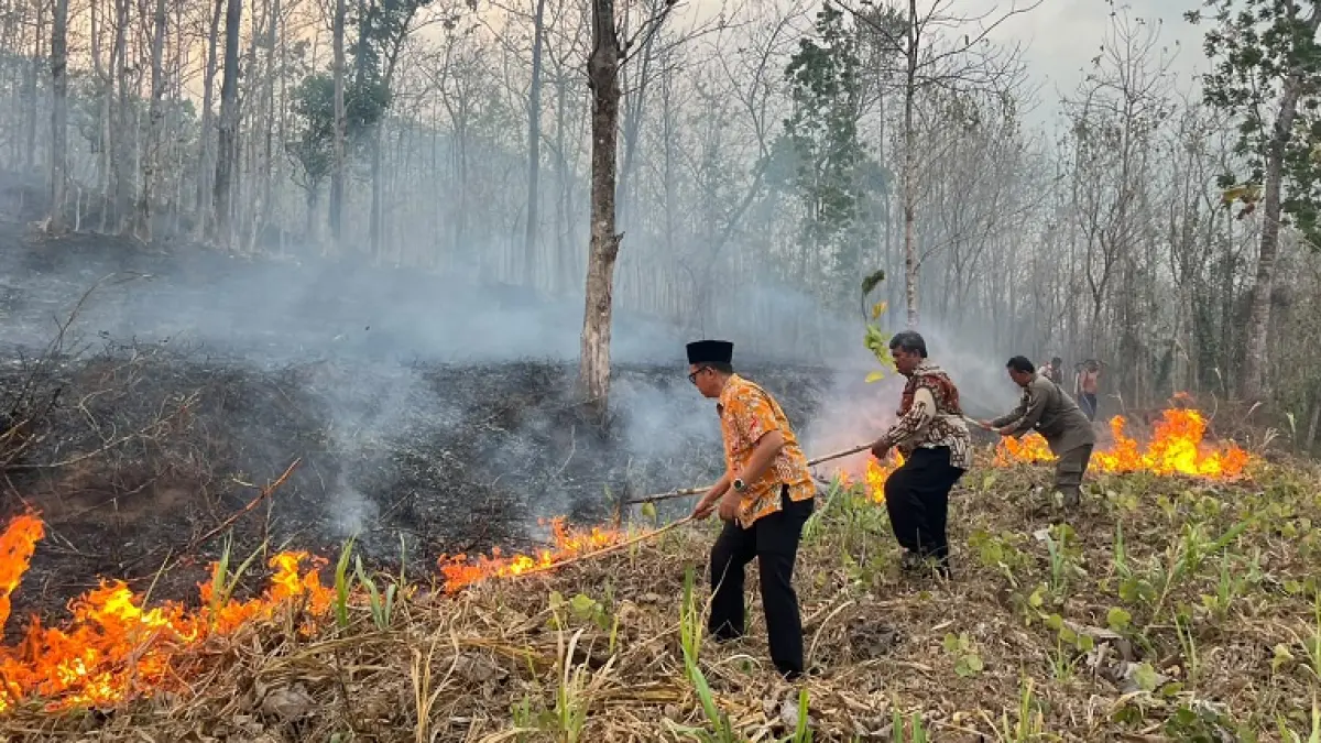 PADAMKAN API: Pemdes Desa Curahnongko, Kecamatan Tempurejo bersama masyarakat berusaha memadamkan api di lahan pada 11 September lalu. BPBD Jember mencatat ada 67 insiden Karhutla sepanjang 2026. (PPID JEMBER)