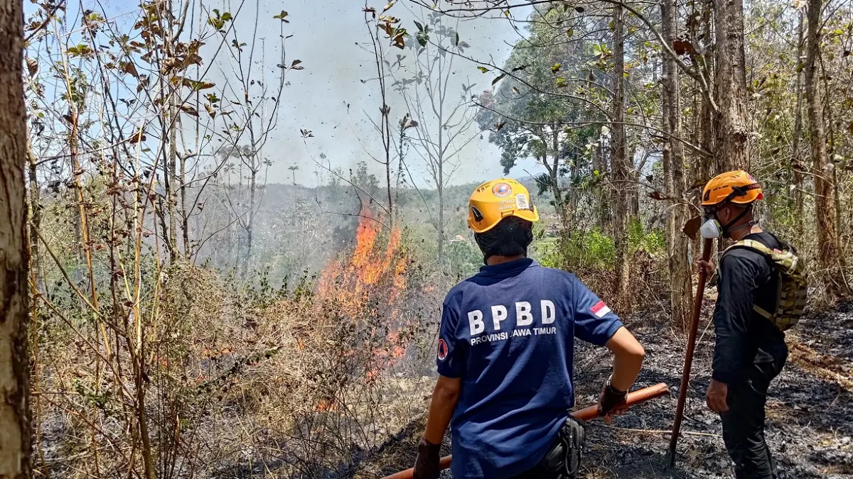 MEMADAMKAN: Petugas saat memadamkan api di wilayah Arak-arak Bondowoso. (FAQIH HUMAINI/RADAR IJEN)