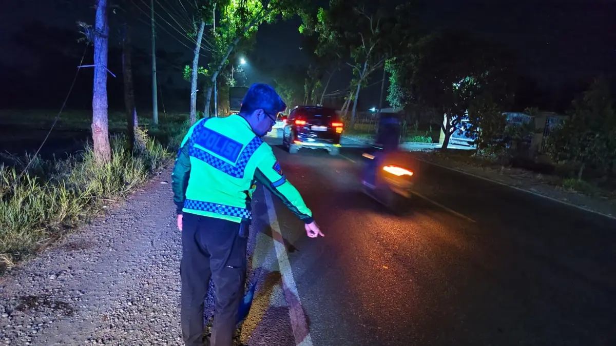 DATANGI TKP: Anggota Laka Satlantas Polres Jember saat melakukan olah TKP kecelakaan di Jalan Raya Desa Sabrang, Kecamatan Ambulu, Sabtu (19/9). (SATLANTAS POLRES JEMBER)