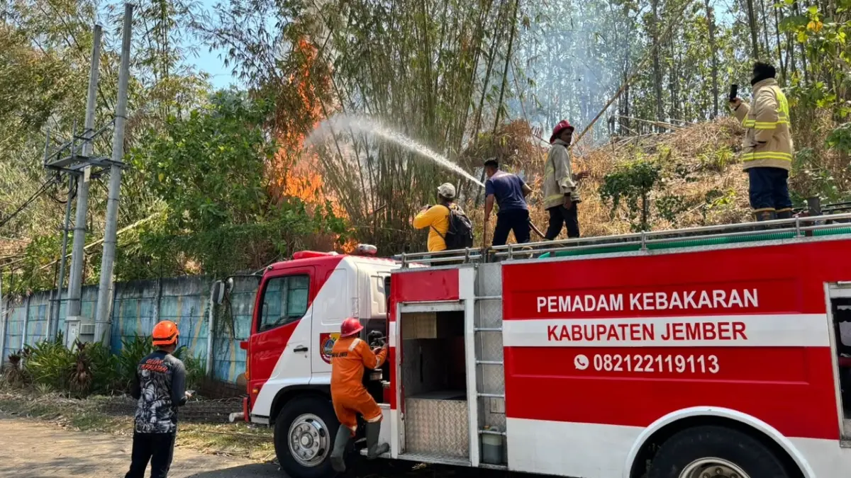JINAKKAN API: Petugas berusaha memadamkan api di lahan bambu yang berbatasan dengan perumahan di Sempusari, Kecamatan Kaliwates. (TRC BPBD JEMBER)