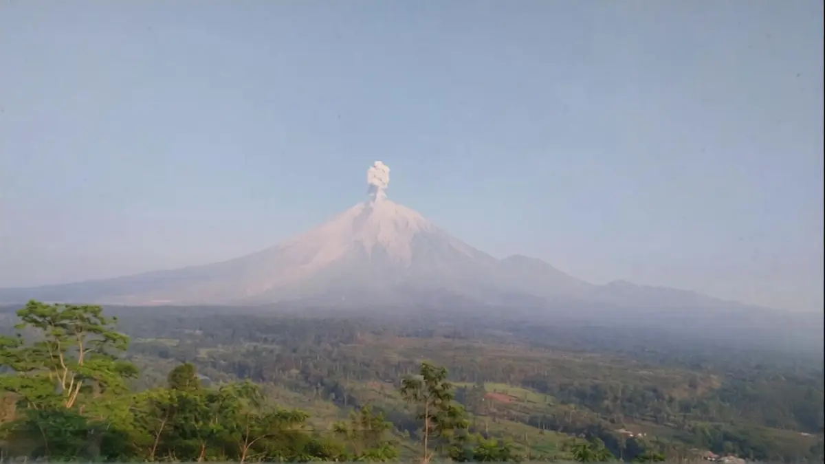 ERUPSI: Gunung Semeru luncurkan letusan setinggi 1.3 kilometer. (PETUGAS PPGA )