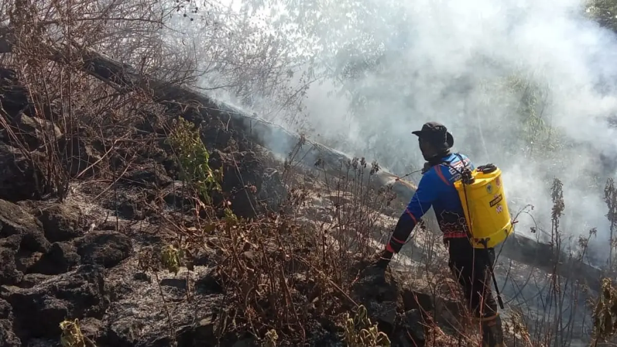 SEDERHANA: Petugas gabungan melakukan upaya pemadaman api, akibat Karhutla yang terjadi di area Black Lava Plalangan, kemarin. (BPBD BONDOWOSO)