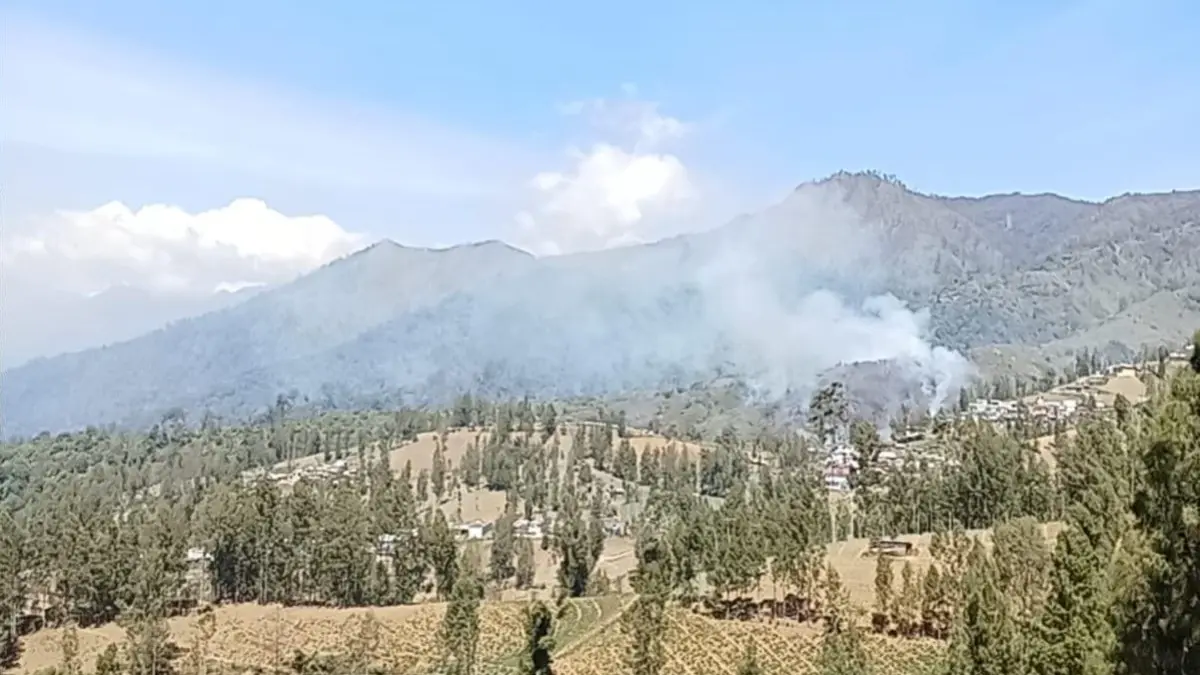 TERBAKAR: Kebakaran hutan (karhutla) kembali terjadi di Kecamatan Senduro. (BPBD FOR RAME)