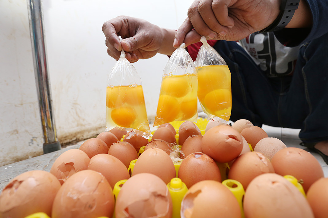 WAWAN DWI/RADAR JEMBER  TETAP MURAH: Telur sortiran mulai dari yang kulit retak hingga isi telur dibungkus plastik jadi pilihan masyarakat di tengah harga telur ayam ras yang melambung.