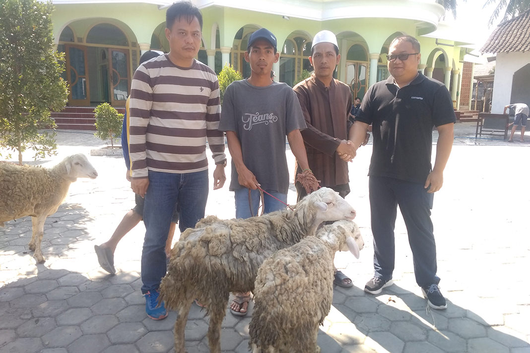 MAHRUS SHOLIH/RADAR JEMBER  BERBAGI: Direktur PT Semen Imasco Asiatic Hu Shu Guang menyerahkan kambing kurban ke sejumlah pengurus takmir masjid dan musala di sekitar lokasi pembangunan pabrik semen di Kecamatan Puger.