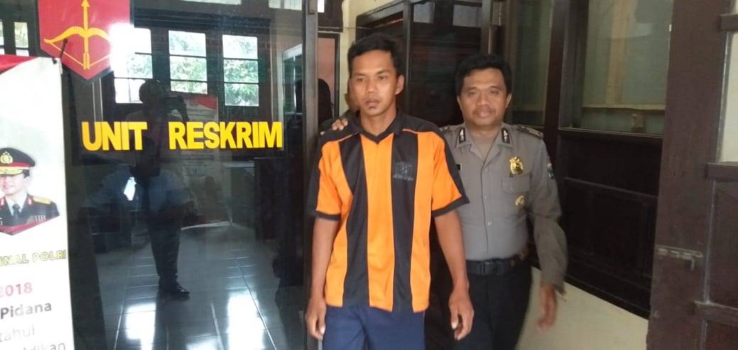 DIKELER: Muhammad Fauzi, 26, pelaku pembacokan terhadap Sujono harus rela digelandang ke Polsek Kalisat.
