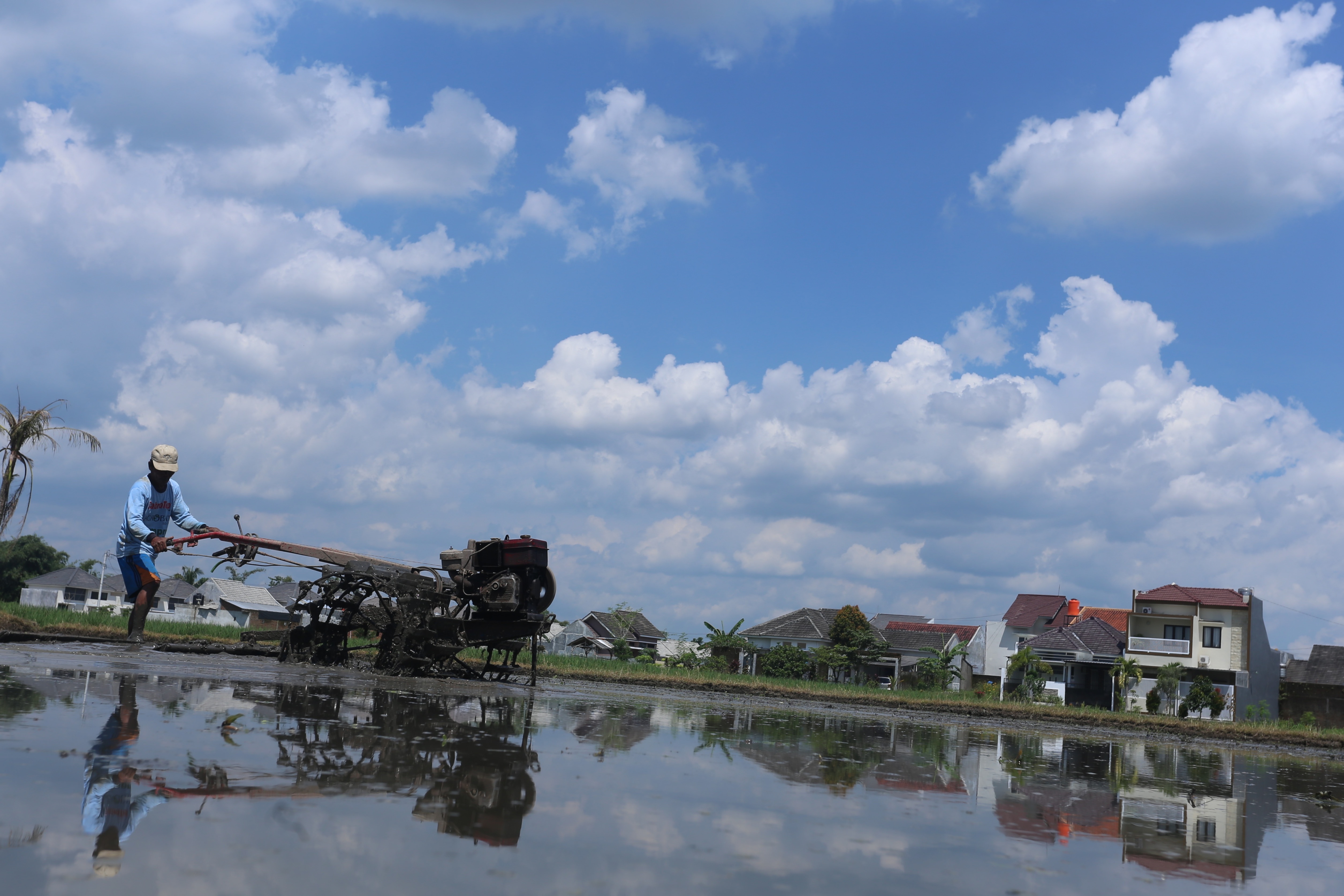 Sewa Mahal: Petani membajak menggunakan hand tractor di areal persawahan Mangli, Kaliwates, kemarin (21/4). Keberadaan mesin pembajak sawah yang disediakan pemerintah dinilai tak mencukupi kebutuhan seluruh petani. Jika sewa, ongkosnya lebih mahal.