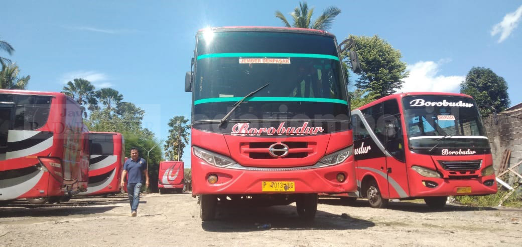 BELUM NORMAL: Beberapa armada bus dari PO Bus Borobudur masih parkir rapi di gudang parkir Kecamatan Ambulu. Kejelasan untuk transportasi bus hingga sekarang ini belum ada tindak lanjutnya.