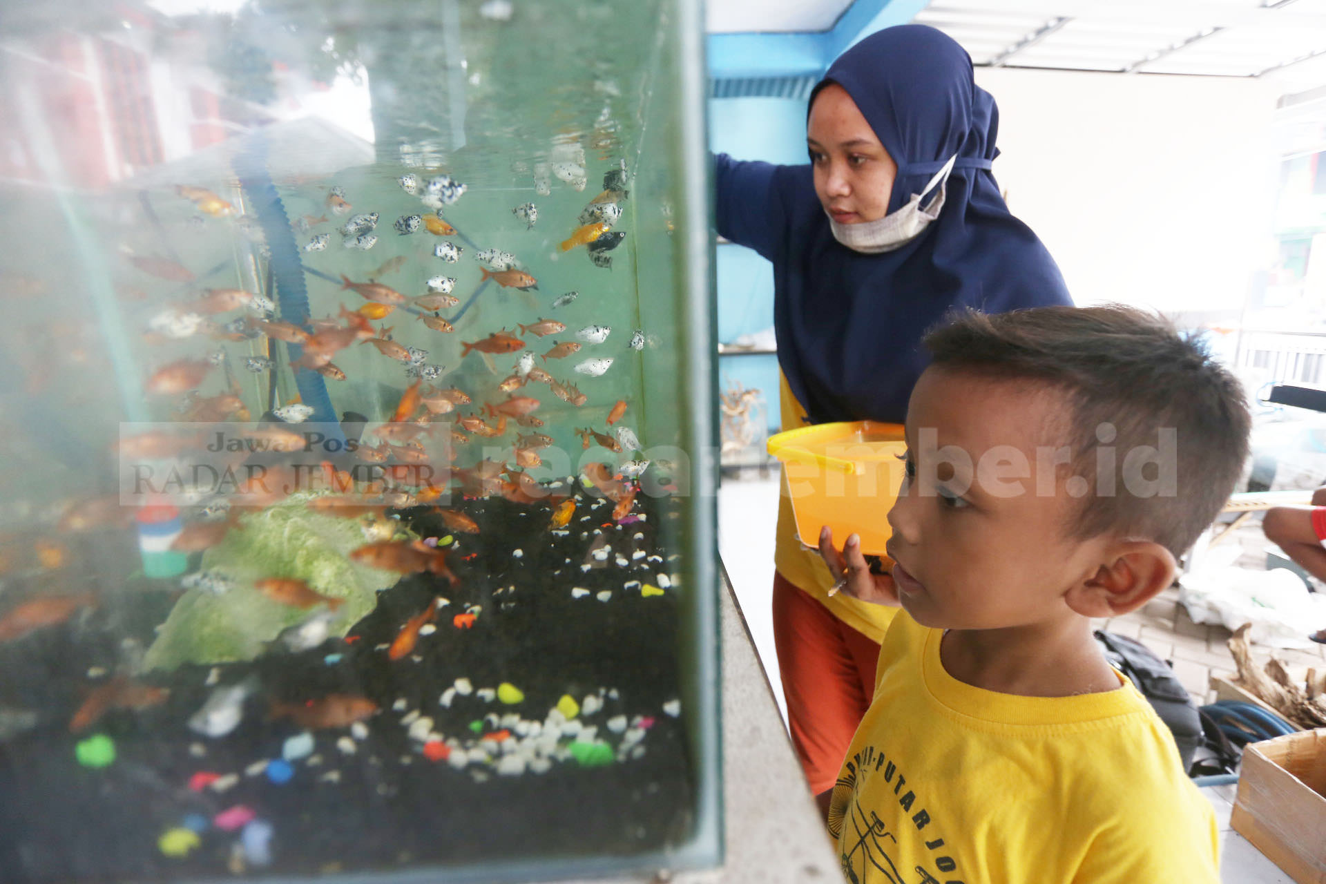 INGIN PELIHARA: Wiwik Hadiyanti bersama putranya memilih ikan hias di pedagang ikan di Jalan Letjen Suprapto. Sejak Covid-19 melanda, penjualan ikan hias justru mengalami kenaikan.
