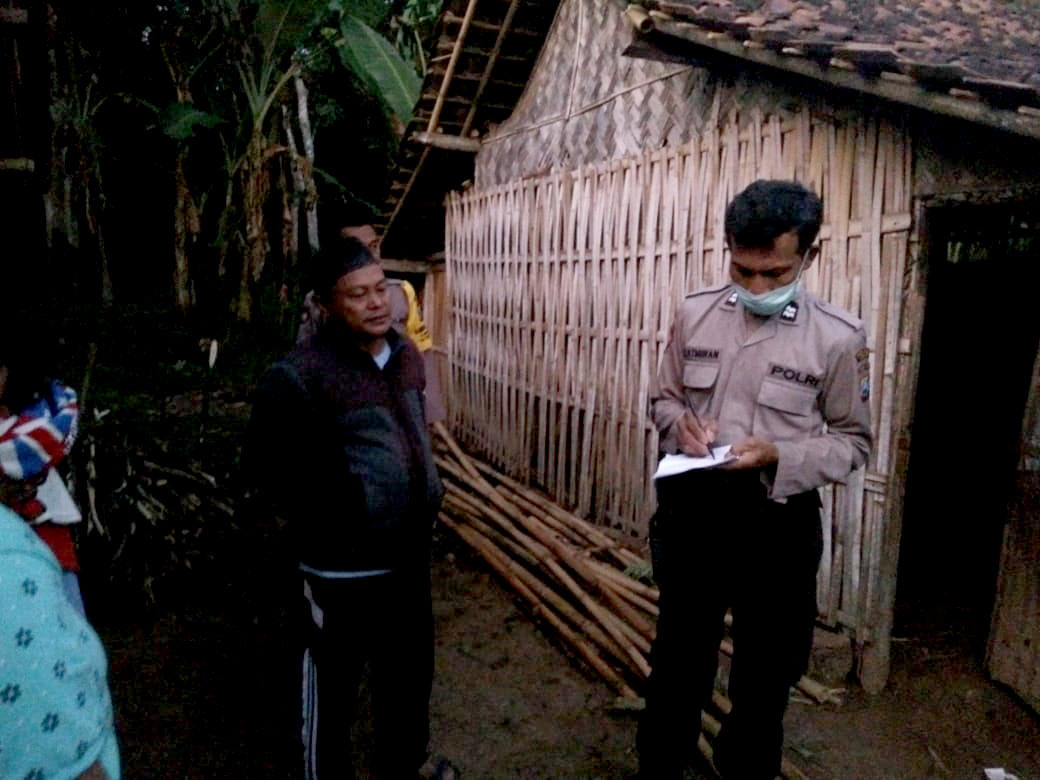 OLAH TKP: Anggota Polsek Tempurejo mengecek kandang sapi milik Ngeteni, lokasi sapi betina lokal yang dimaling.