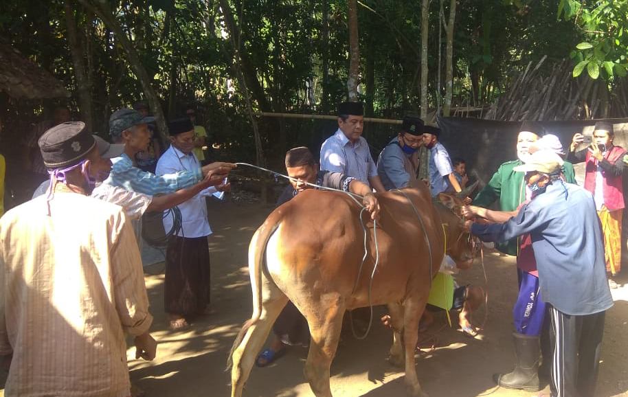 KURBAN DI KAMPUNG ZAKAT: Rektor IAIN Jember Babun Suharto Jember menyerahkan hewan kurban bantuan dari alumni PKPNU Segmen Dosen IAIN Jember di Kampung Zakat Dusun Paceh, Desa Jambearum, Kecamatan Sumberjambe, Jember.