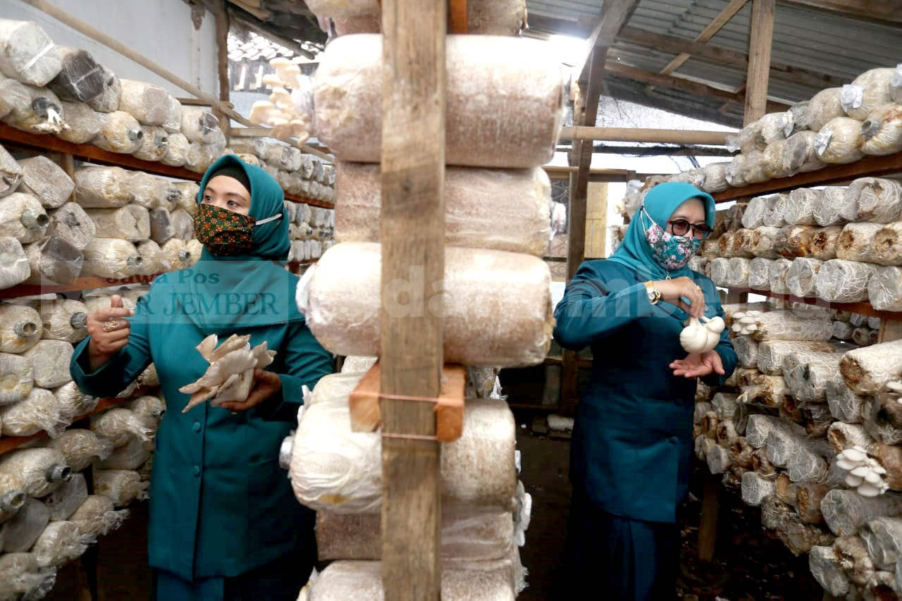 DIKUNJUNGI IBU-IBU: Sejumlah pengurus dan anggota TP PKK juga berkunjung ke tempat budi daya jamur tiram.