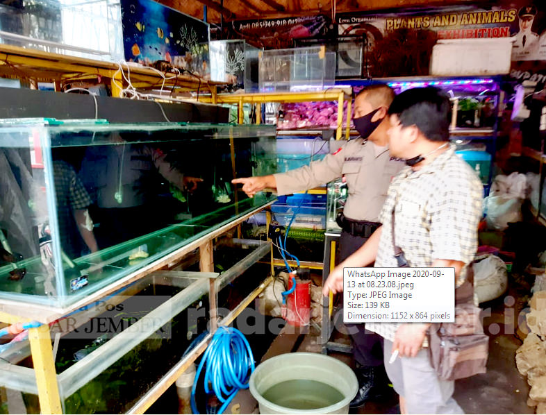BERANTAKAN: Kios ikan hias milik Abdul Hayi, 41, warga Jalan Gatot Subroto V/84, Kelurahan Kepatihan, Kaliwates. Kios di rest area Jubung, Kecamatan Sukorambi itu berantakan akibat disatroni kawanan pencuri, Sabtu (12/9).