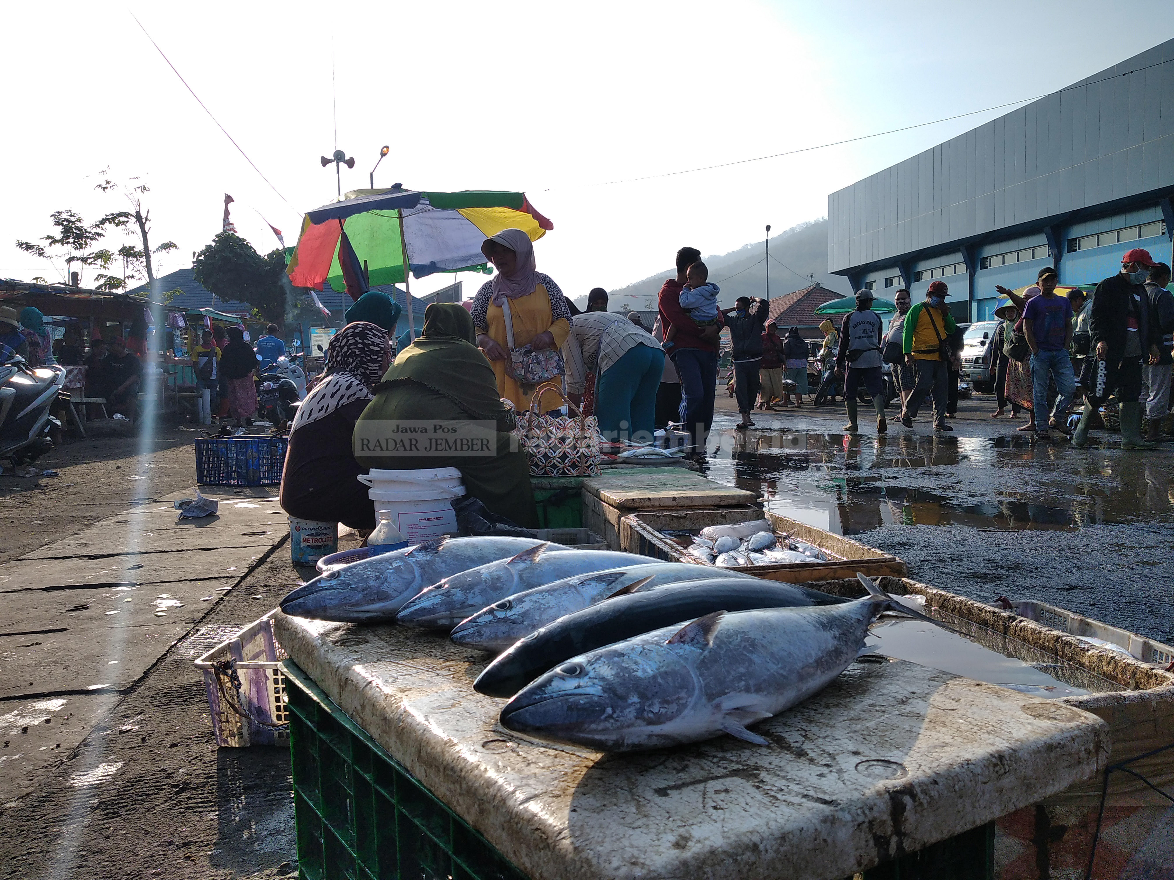 AYO KONSUMSI IKAN: Kondisi salah satu pasar penjualan ikan. Kebanyakan suplai ikan masih dari Puger-Jember, padahal Lumajang punya laut.