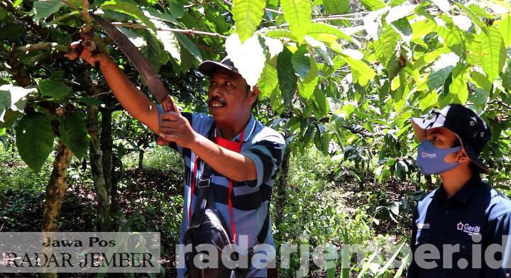 AGROWISATA: Seorang pekebun mengajak peserta kegiatan GenBI merawat tanaman kopi. Kawasan perkebunan kopi di Gunung Pasang ini juga bisa menjadi daya tarik bagi wisatawan dan potensial dikembangkan.
