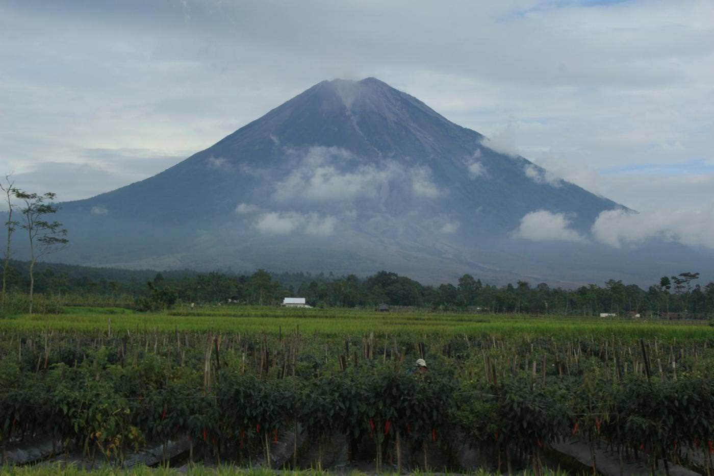 AKTIF: Kondisi Gunung Semeru pagi hari, kemarin. Meski terjadi letusan, masih ditemukan para petani melakukan aktivitas pertanian di lereng Gunung Semeru.