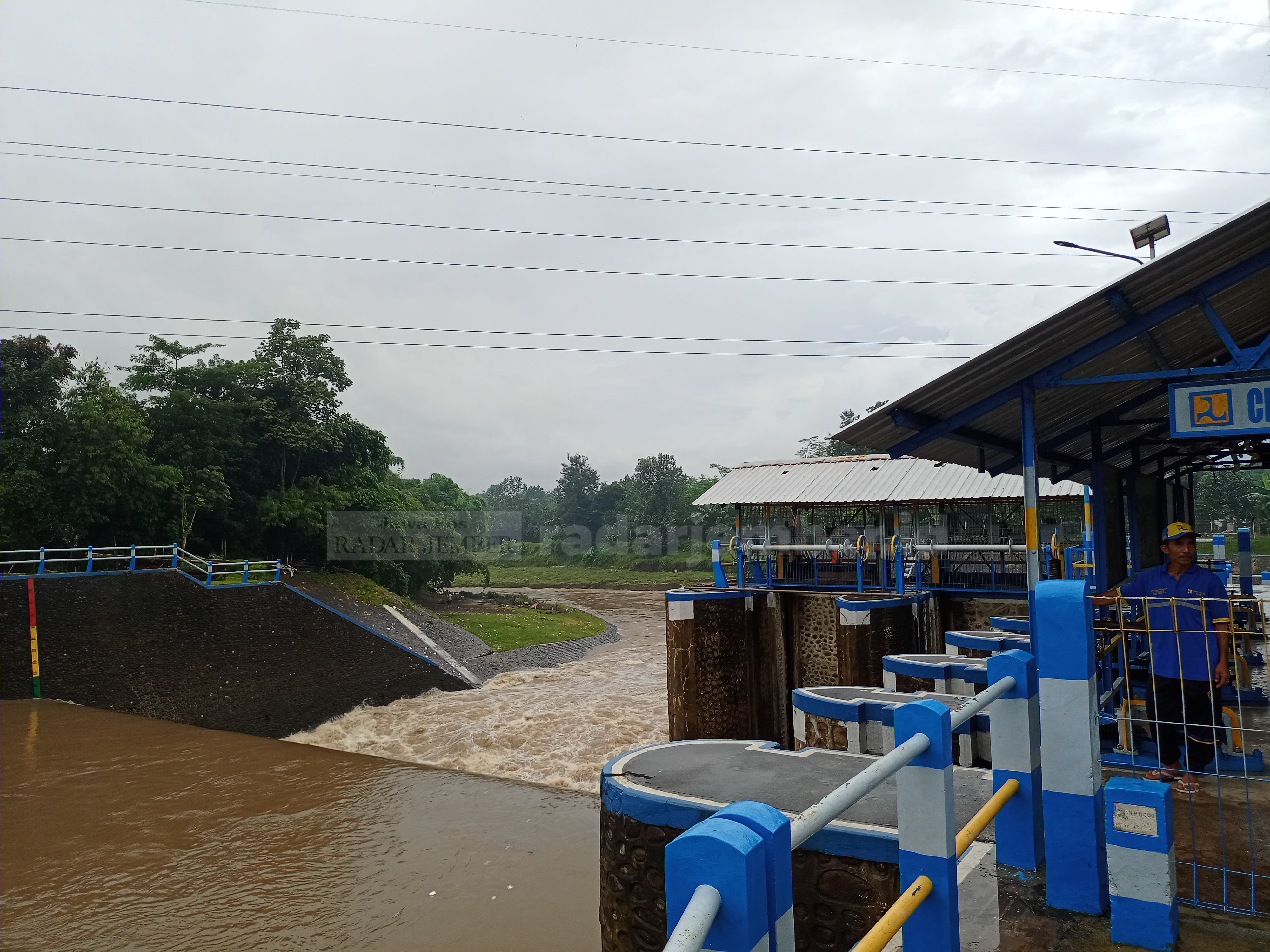 Sungai Bedadung/Dok. Radar Jember