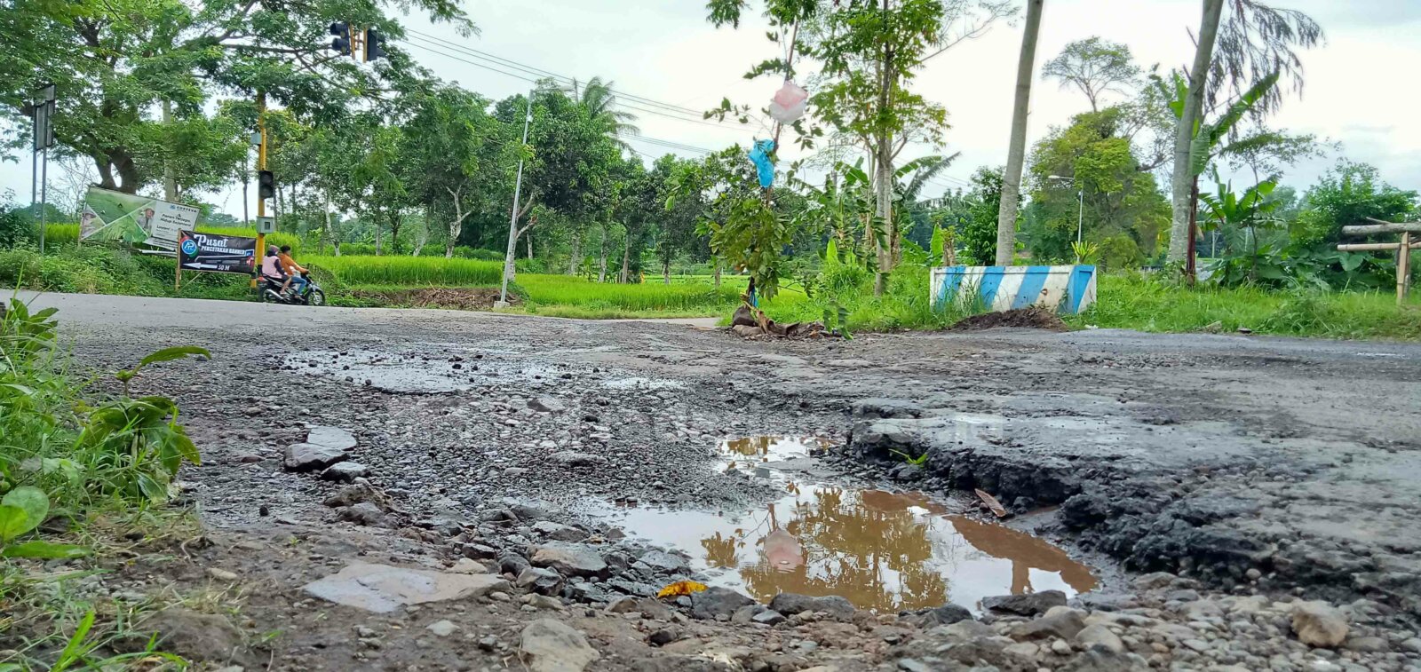 KARENA RUSAK: Sebuah pohon ditanam warga di tengah jalan sebagai rambu bagi pengguna jalan.