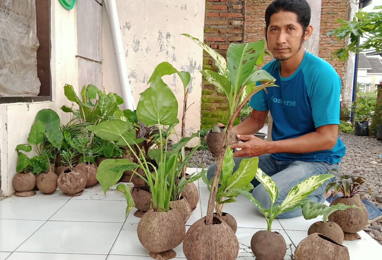 POT BATOK KELAPA: Ditangan Yusuf Hamrowi batok kelapa disulap menjadi pot tanaman hias bernilai ekonomis tinggi di saat bekerja di rumah karena pandemi.
