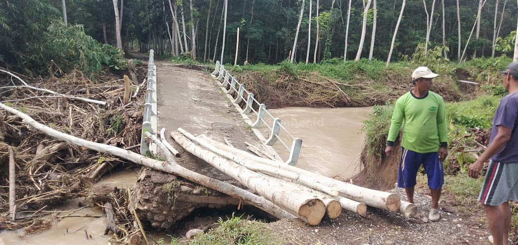 AKSES TERPUTUS: Kondisi jembatan menuju Afdeling Terate, Dusun Pager Gunung, Desa Curahnongko, Tempurejo.