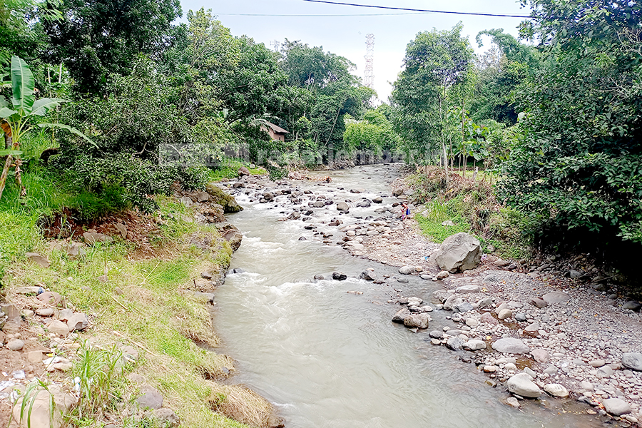 DANGKAL: Salah satu aliran Sungai Bedadung di sekitar Dusun Krajan, Desa Patemon, Kecamatan Arjasa. Tampak beberapa warga terbiasa memanfaatkan sungai yang membelah Kabupaten Jember tersebut.