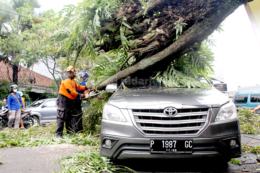 RINGSEK: Mobil Kijang Innova P 1987 GC milik Evi Sieto, ringsek setelah tertimpa pohon tumbang di Jalan Trunojoyo, Kelurahan Kepatihan, Kaliwates, kemarin (17/2).