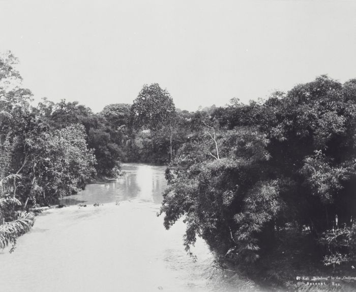 RIMBUN: Kondisi Sungai Bedadung di masa lampau. Terlihat di kanan kiri kanal masih banyak pepohonan.