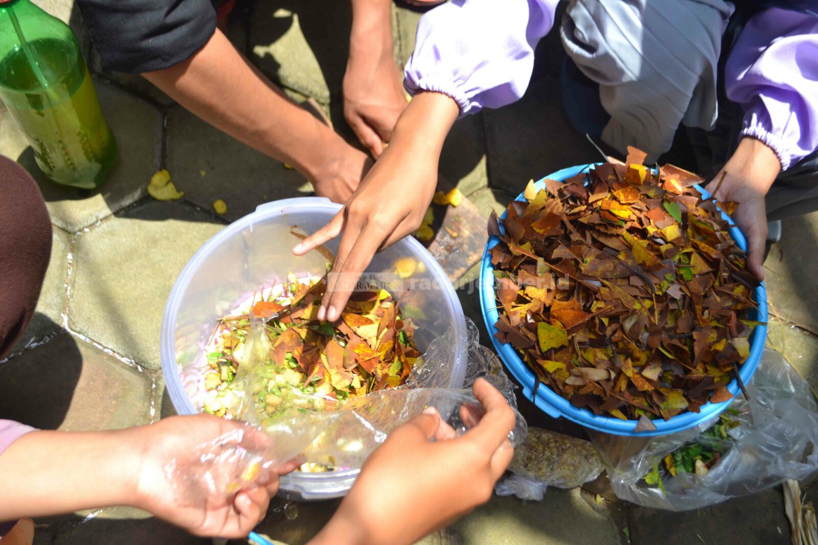 MENCAMPURKAN BAHAN: Para anggota Komunitas Petani Kencono Wungu sedang meracik bahan dari limbah daun dan dapur untuk membuat pupuk bokashi.