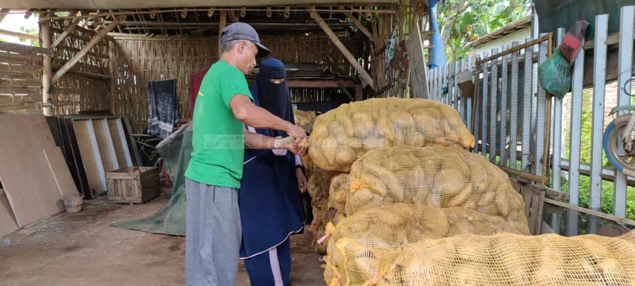 MENUMPUK : Sekitar 16 ton ubi Cilembu menumpuk di gudang milik Endang Rahmah, salah seorang warga Desa Pancoran. Ternyata, dia sengaja membeli dari petani untuk membantu para petani yang sedang krisis.