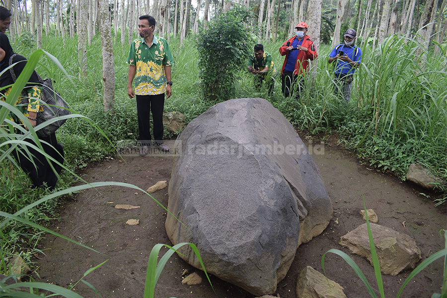 JADI BEBERAPA RUTE: Situs megalitikum di Desa Maskuning Kulon, Pujer, memiliki beberapa rute. Tim ahli Ijen Geopark pun sudah membagi rute untuk melihat langsung puluhan batu dolmen.