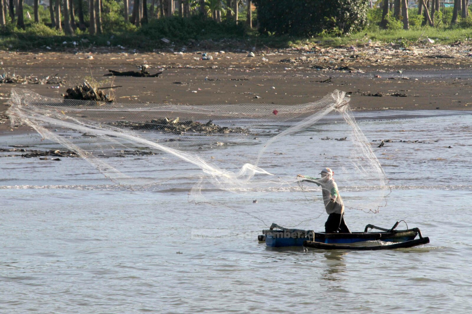 HARUS SABAR: Yanto, warga Dusun Karangsono, Desa Grenden, Kecamatan Puger, saat menjala ikan di muara Sungai Bedadung di Desa Puger Kulon, Kecamatan Puger.