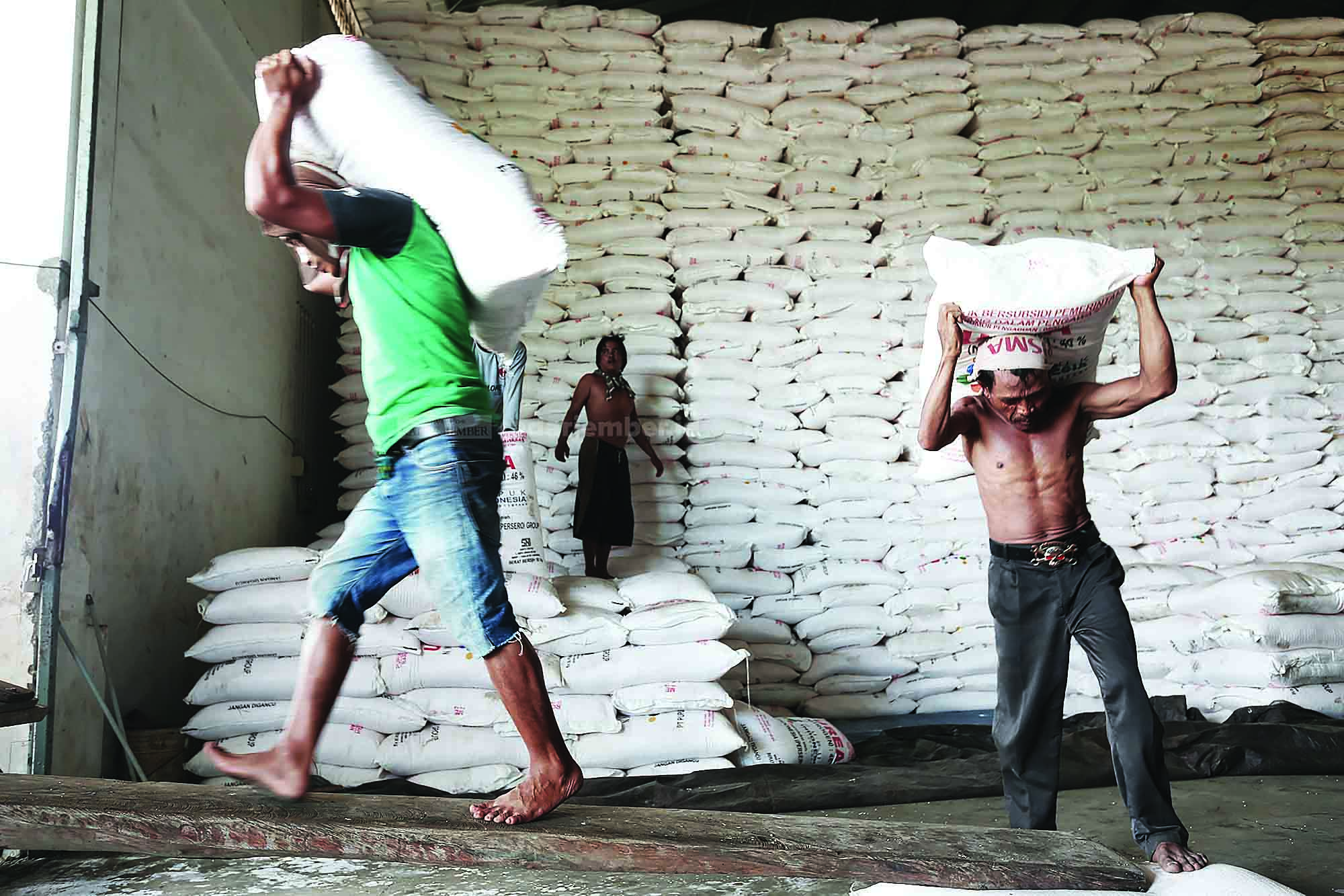 Ilustrasi Dok Radar Jember