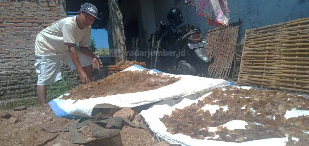 BIKIN RAMBAK SAPI: Proses pembersihan bulu dari kulit sapi sebelum diiris tipis. Proses ini membutuhkan waktu cukup lama dan ketelatenan agar hasil rambak maksimal.