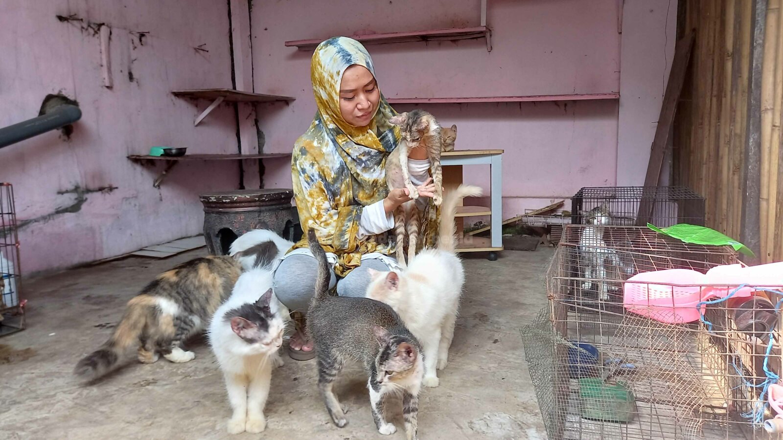 PELIHARA: Tyas Widarsih, seorang perempuan warga Kelurahan Tompokersan, Kecamatan Lumajang, yang penuh kasih merawat puluhan kucing liar di rumahnya.