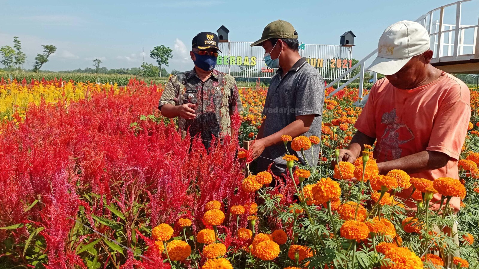 DESTINASI WISATA BARU: Sejumlah pengunjung menikmati pemandangan di Gerbas Tani, Desa Kedungrejo, Rowokangkung, kemarin. Wisata baru tersebut terletak di tengah lahan persawahan.