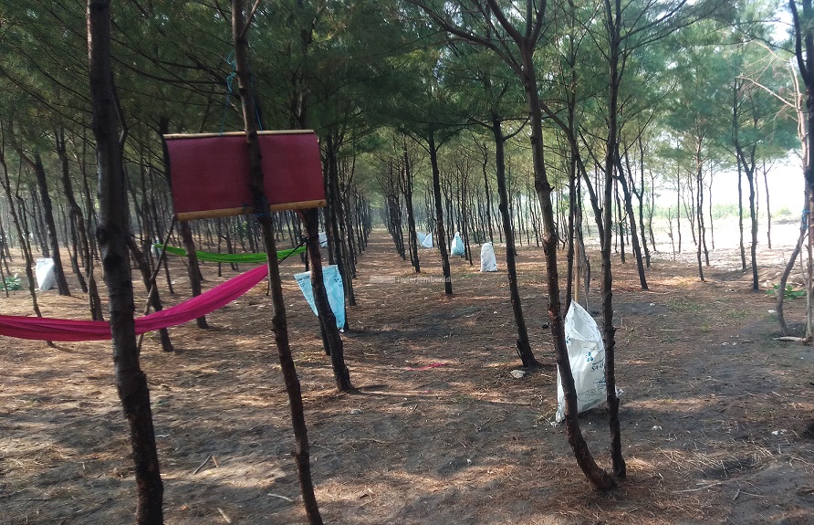 TUTUP SEMENTARA: Tempat wisata Cemoro Sewu yang dikelola Pemdes Puger Kulon, Kecamatan Puger, tutup sementara.