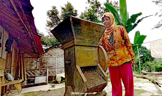 TRADISIONAL: Salah seorang warga tengah mengolah kopi yang baru saja dijemur dengan mesin yang semuanya terbuat dari kayu.