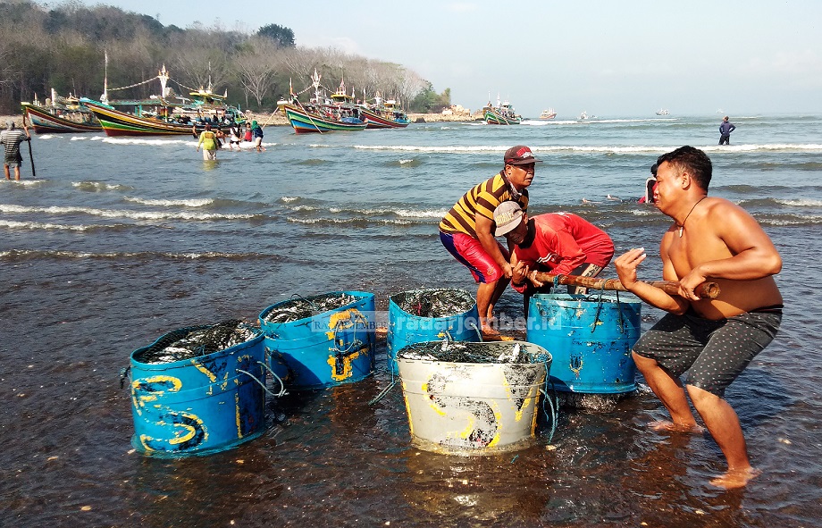 TERJEBAK DI MUARA: Sejumlah nelayan mengangkat keranjang ikan di muara Sungai Bedadung, Desa Puger Kulon, Kecamatan Puger. Nelayan mengangkut hasil laut itu secara manual. Selanjutnya, dibawa ke TPI menggunakan jukung yang lebih kecil atau pikap.