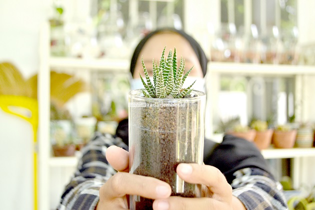 FISIK KECIL, UNTUNG BESAR: Prospek tanaman hias, termasuk terarium atau seni menanam dalam wadah kaca, cukup menjanjikan dalam era pandemi ini.